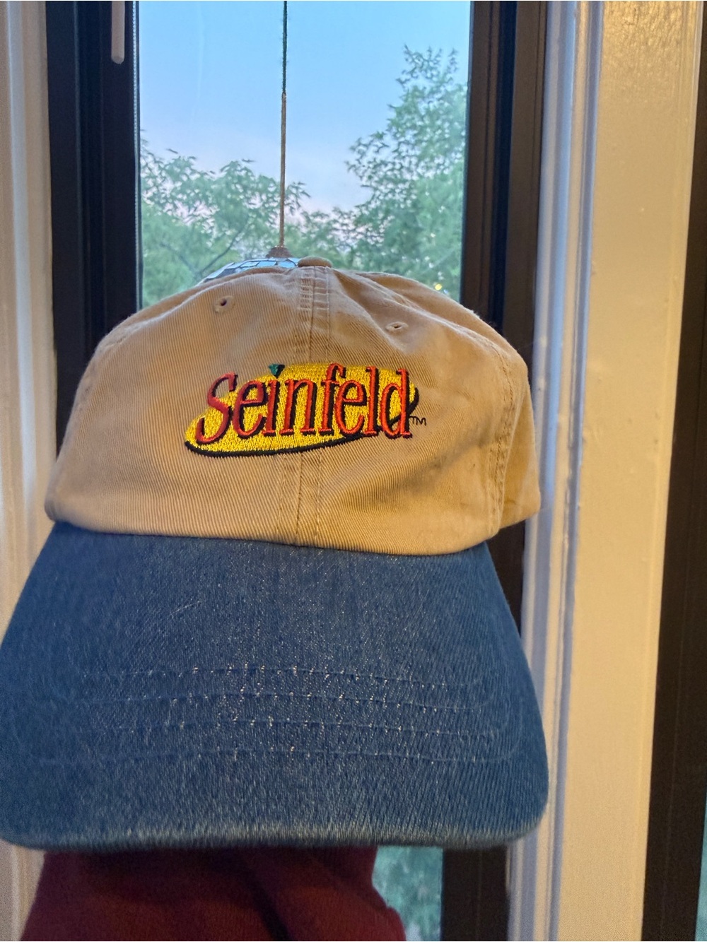 DumbGood Seinfeld TV Show SnapBack Dad Hat
